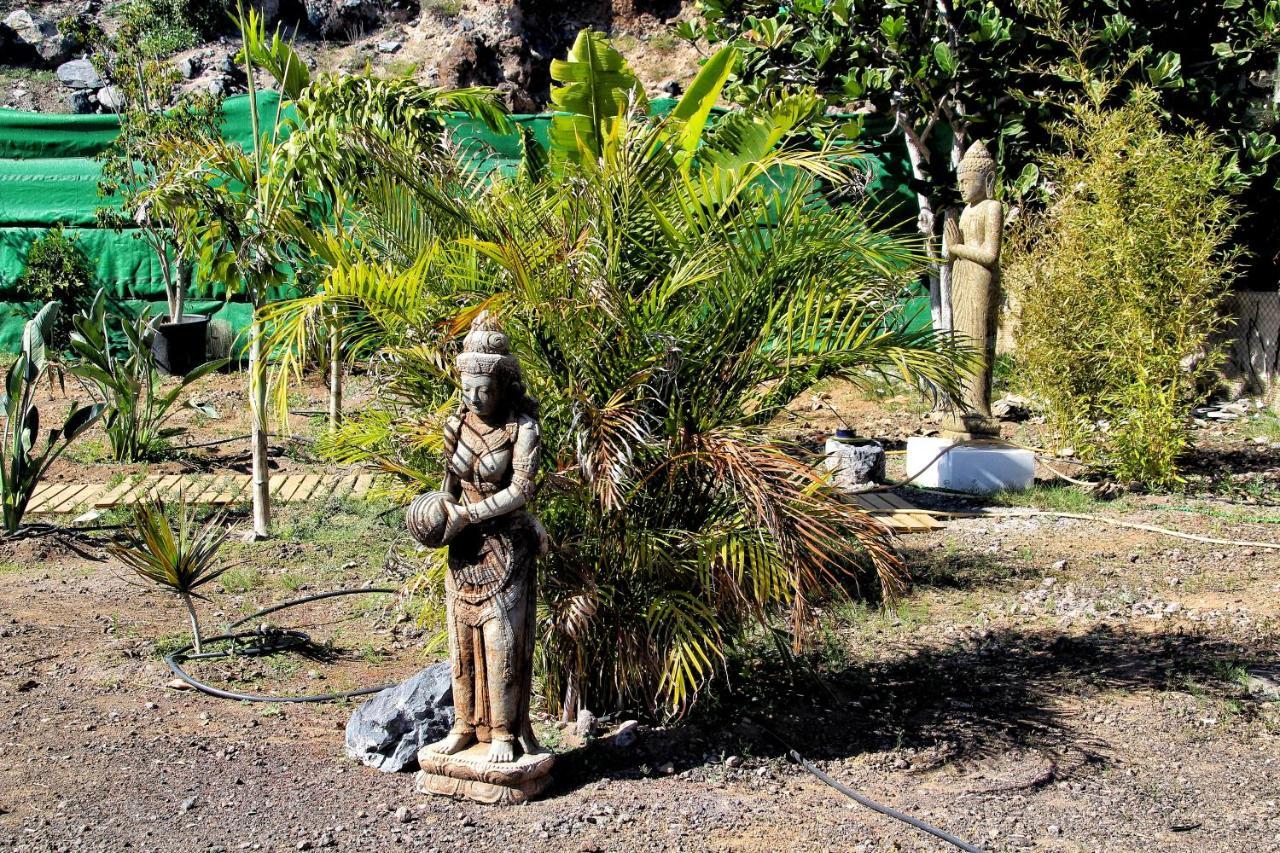 Finca Berolo 1 Guía de Isora Exteriör bild